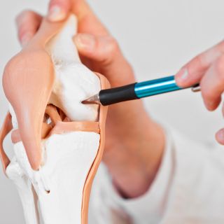 Odbudowa tkanki chrzęstnej