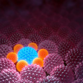 Wspieranie regeneracji tkanek